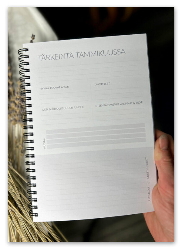 Vuosikalenteri 2025 Ninnimoi kuukausinäkymä