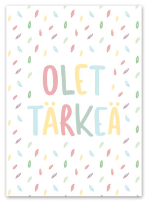 Olet tärkeä Ninnimoi postikortti